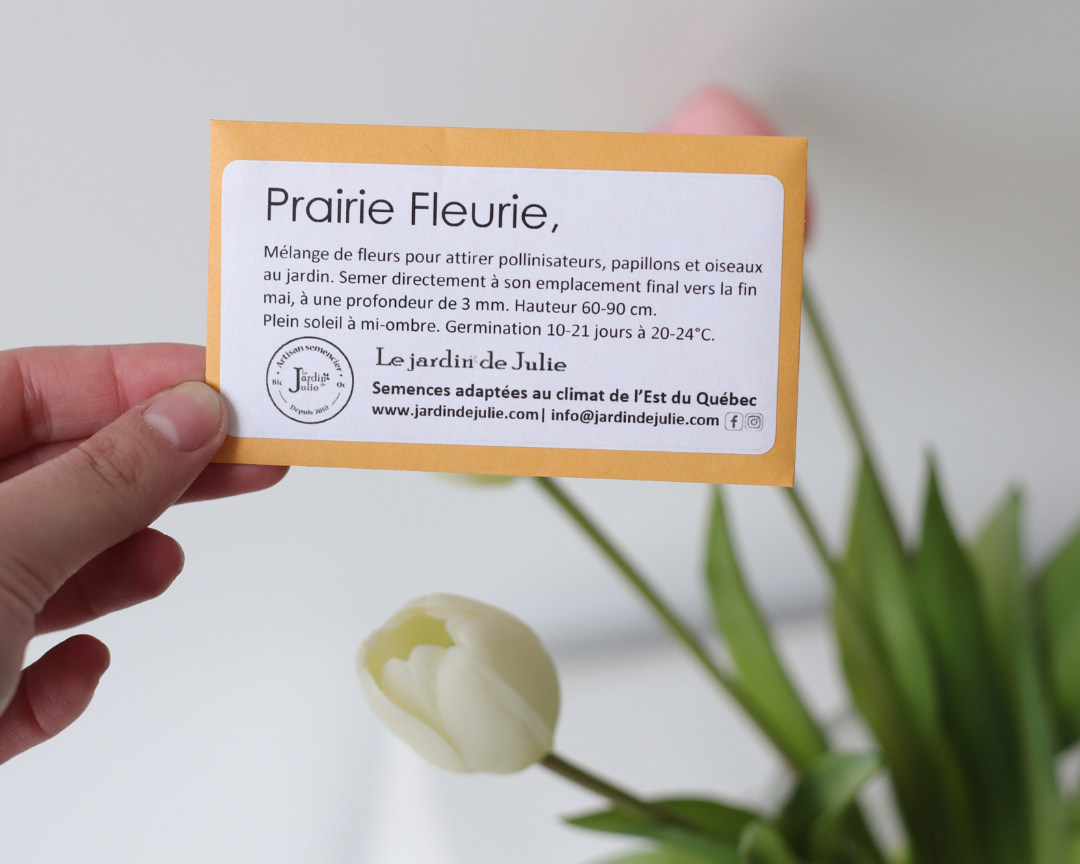 Semence Prairie fleurie - Jardin de Julie