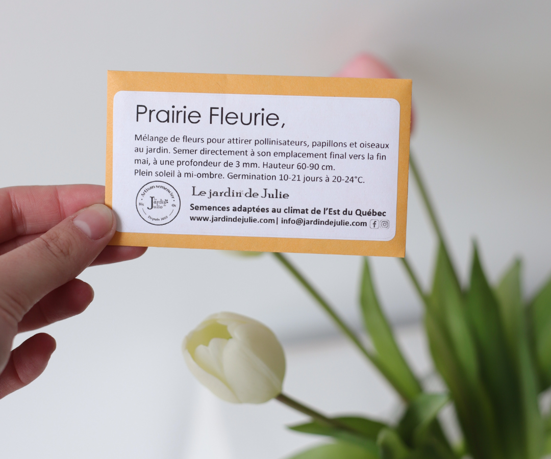 Semence Prairie fleurie - Jardin de Julie