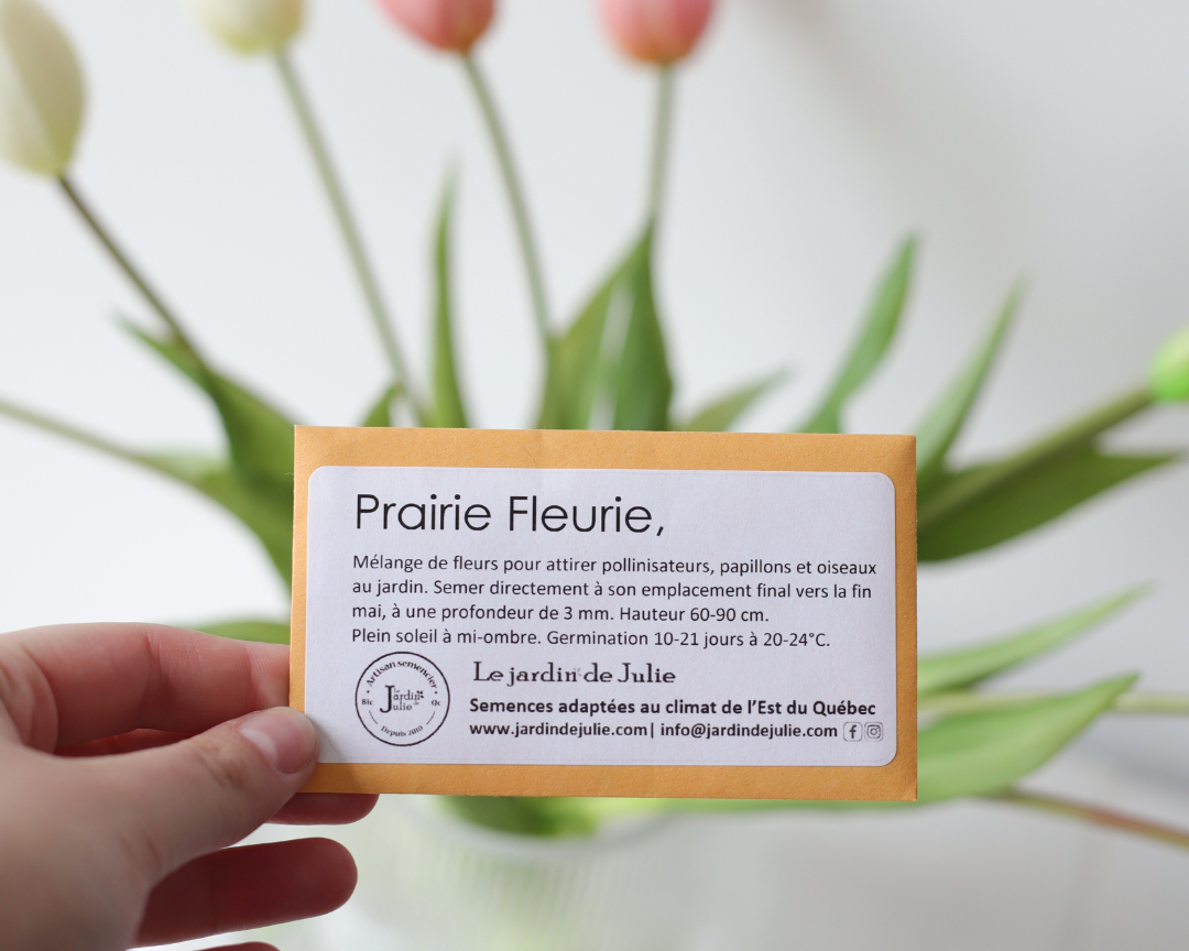 Semence Prairie fleurie - Jardin de Julie